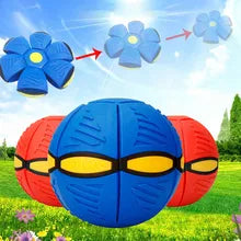 Μετατρεπόμενη Φερόμενη Μπάλα - Ball P3 Disc