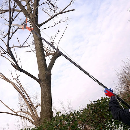Ψαλίδι κλαδιών και πριόνι, με τηλεσκοπική λαβή 1,8-2,5 m