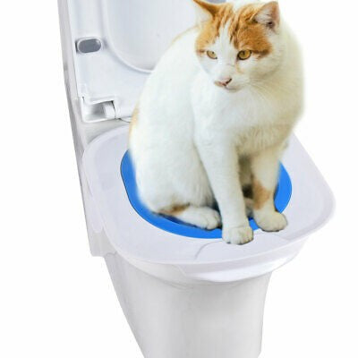 Κιτ εκπαίδευσης τουαλέτας για γάτες